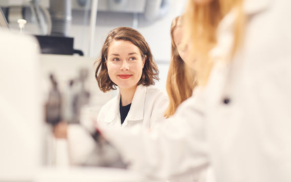 Aalto Image Bank Javor