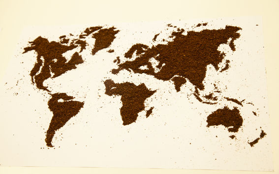 Oona Ojala studied how the cultivation conditions of luxury products such as coffee and cocoa will evolve with climate change. Photo: Elisa Dametto