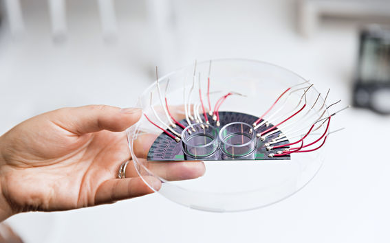 Kuvassa on kasvatusalusta, jonka avulla soluviljelmistä saadaan paikallista tietoa. Alustan mikroelektrodijärjestelmässä on 44 mikroskooppisen pientä anturia vieri vieressä.