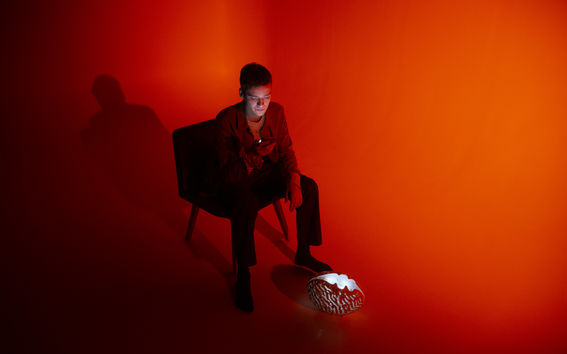 COMPANION and its owner