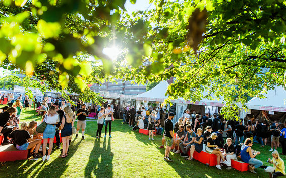 Festival attendees on green grass