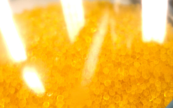 IWMA Young Talent Award 