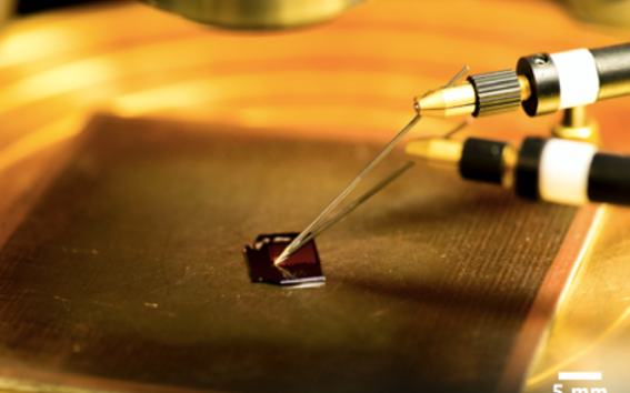 Nanotube transistors on a chip being tested electically