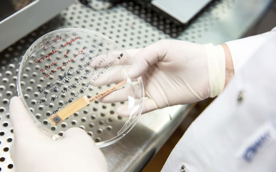 HealthTech nano materials, photo by Mikko Raskinen