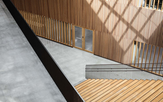 Väre. Kuva: Tuomas Uusheimo