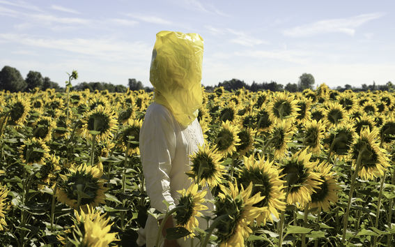 nainen seisoo auringonpaisteessa auringonkukkakedolla keltainen muovipussi päässään