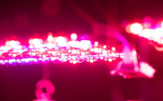 Department of Computer Science research, infrared lights hanging on the roof for machine learning in plant growing project