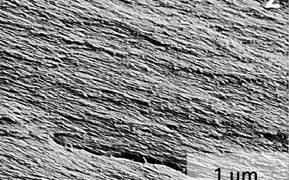 Research image of the adhesive at microscopic level