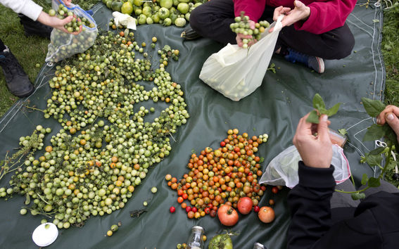 The Test Site. Copyright Creative Sustainability.