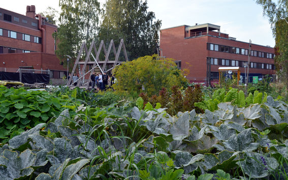 The Test Site. Copyright Creative Sustainability.