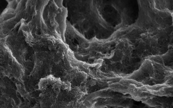 Nature-imitating coating, picture: Juho Heiska