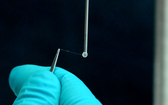 Photo by Teemu Välisalmi