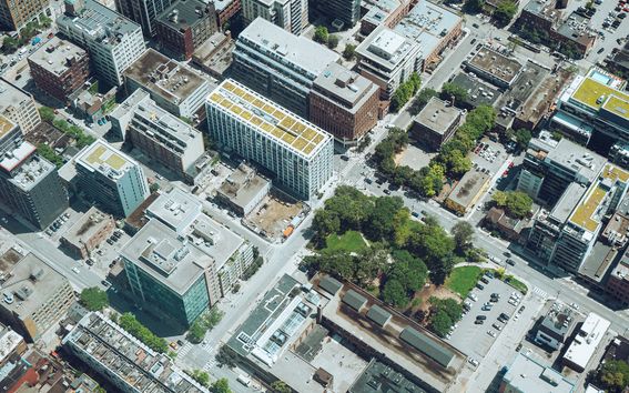 Green roof in urban center