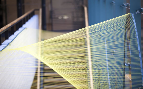 Kuvituskuva: SCIn kristallikukat