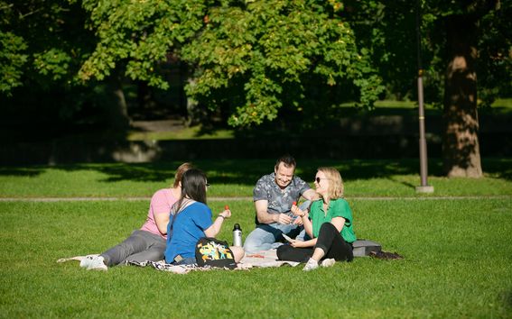 ITP Students enjoying a summer picnic