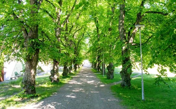 Otaniemi Lehmuskuja (photo Mikko Raskinen)