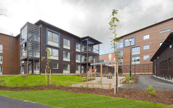 Puukerrostaloja Viikissä