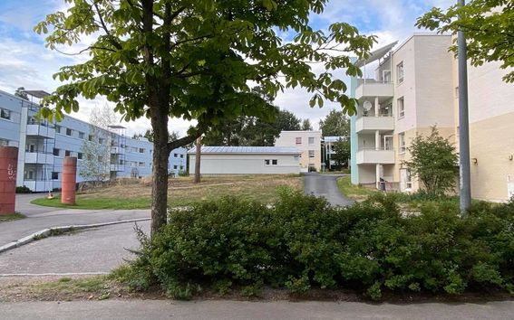 Harustie Meri-Rastilassa.