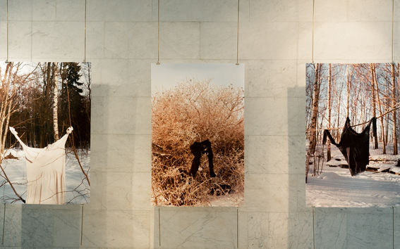 photo of photos on a wall