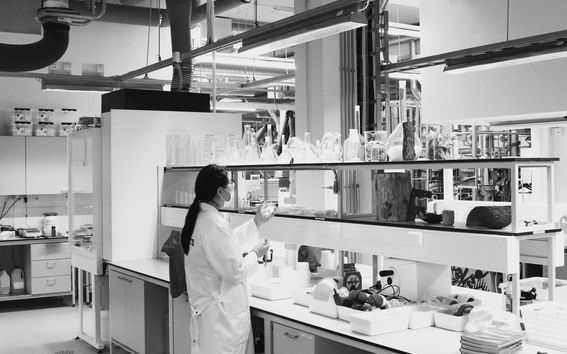 Student Irene Purasachit in the lab.