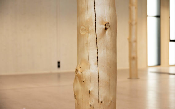 Lähikuva Pikku-Finlandia väistörakennuksen vaaleasta männyn rungosta