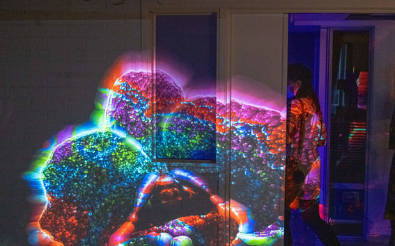 Colourful flower projected onto the wall in dark room. Part of audio-visual exhibition by Anze Bratus in Space 21.