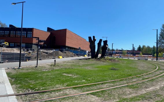 Korkeakoulu Square green area