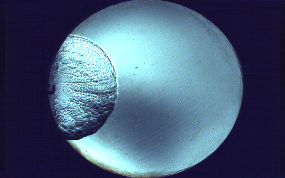 hydrogen flame propagation