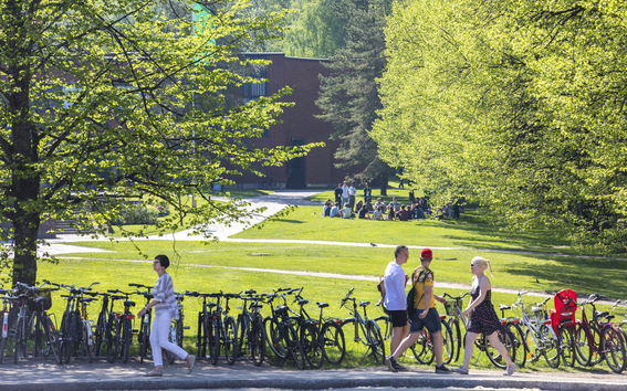 Students at the campus.