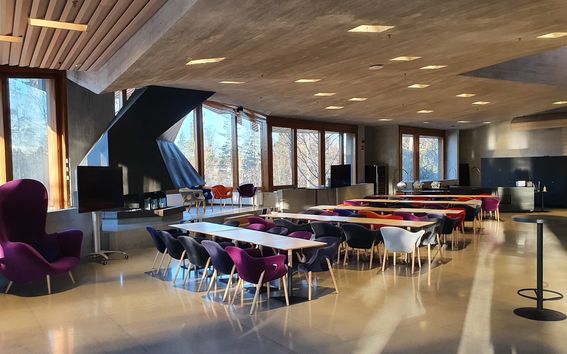 Metso-sali ravintolamuoto