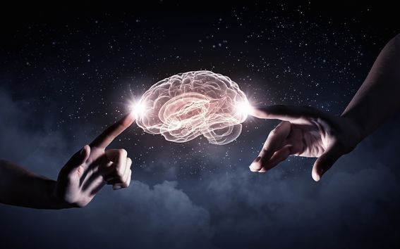 Two hands gently touching a brain. 