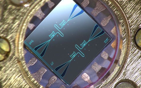 Centimeter-sized silicon chip, which has two parallel superconducting oscillators and the quantum-circuit refrigerators connected to them. Credit: Kuan Yen Tan.