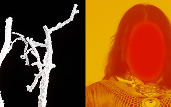 Lada Suomenrinne: Iđitguovssu, 2021 (yksityiskohta teoksesta)