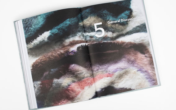 Hanna-Kaisa Korolaisen väitöskirjan The Making of Inspiration sisäaukeama.