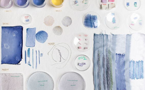 50 shades of red cabbage. Photo by Aalto University, Rainer Paananen