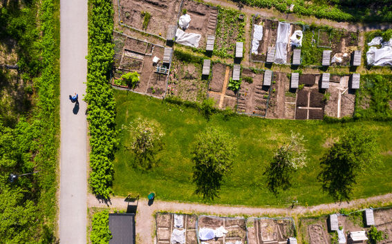 Garden plots in Otaniemi