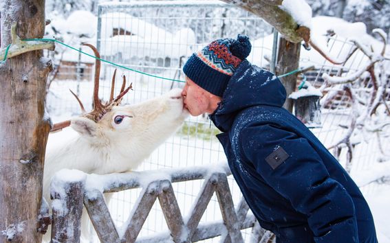 The photo shows a man and a reindeer greeting each other in a wintry environment.