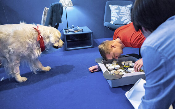 A dog and two researchers. Photo: Aalto University/Mikko Raskinen
