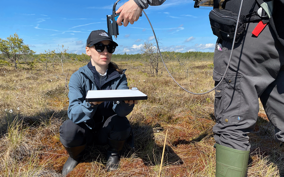 Aalto University peatland research