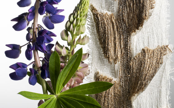 Unlikely Materials-exhibition: Lupin design Maija Vaara and Mithila Mohan, photo by Anne Kinnunen, Aalto University