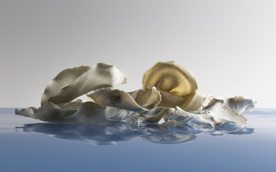 Unlikely Materials exhibition: Material Experiments design Tiina Otala and photo Esa Kapila, Aalto University