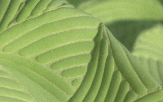 Textured fabric, cyclicality of trends by Nora Bremer