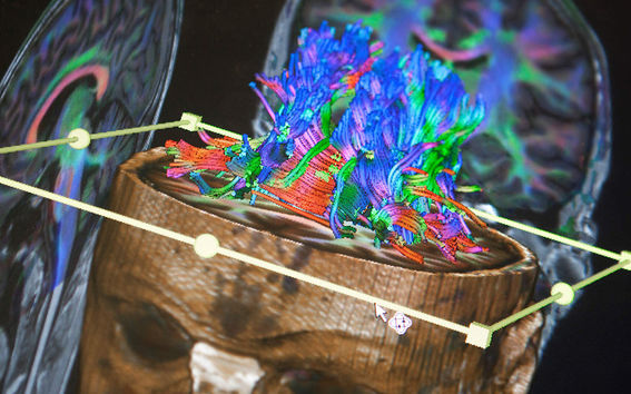 Perustieteiden korkeakoulu