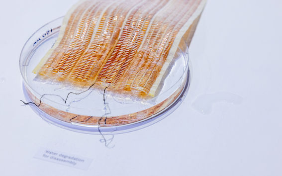 Biomaterial in water