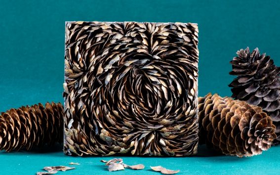 Iines Jakovlevin teos. Kuva: Anne Kinnunen