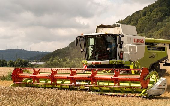 Leikkuupuimuri vehnäpellossa.