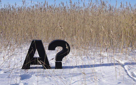 A-logo, Aalto-yliopisto, Kuva: Anni Kääriä