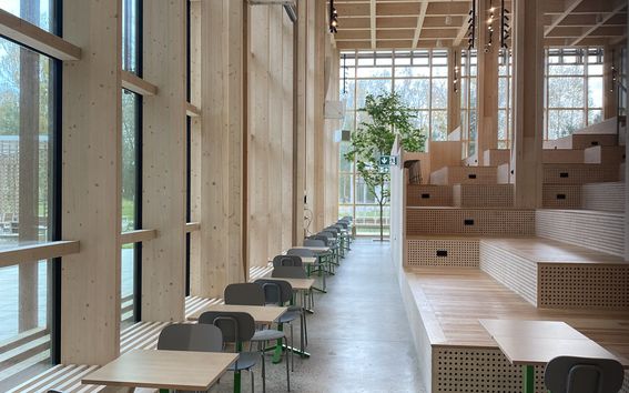 Valoisa oppimistila, jossa on pöytiä ja tuoleja sekä puiset rappuset, jotka toimivat myös istuimina.