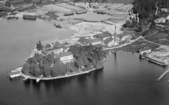 Saastamoisen säätiön Syvänniemi