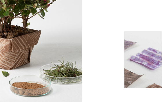 A plant sitting in a folded plant holder, material samples placed next to it